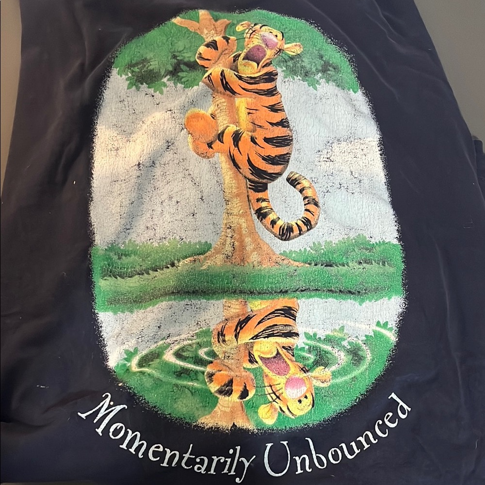 Vintage Winnie-the-Pooh Tigger T-Shirt